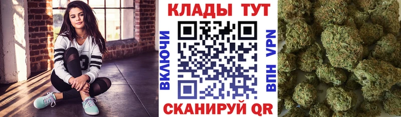 Галлюциногенные грибы Гулькевичи