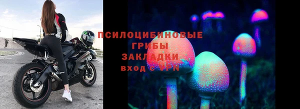 мет Белокуриха