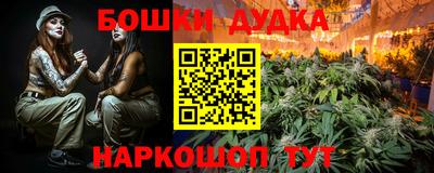 индика Нальчик