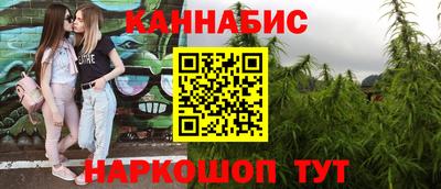 индика Нальчик