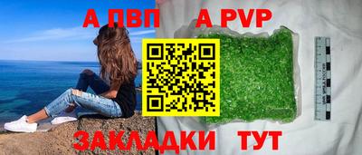 индика Нальчик