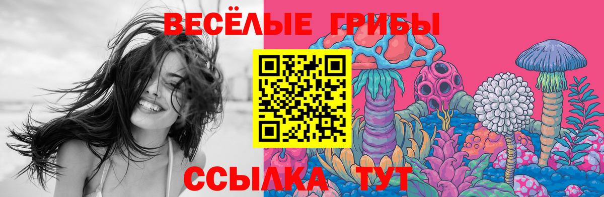 Псилоцибиновые грибы MAGIC MUSHROOMS Гулькевичи