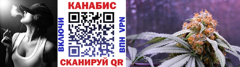 Каннабис сатива Гулькевичи